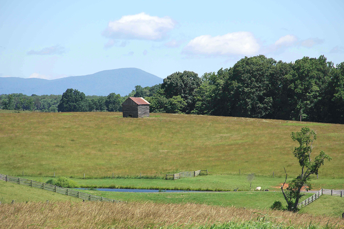 Old Buidling in Farm Field