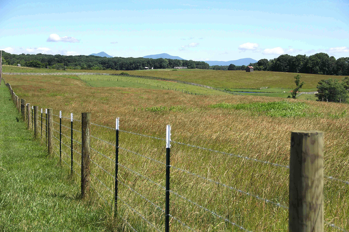 Old Buidling in Farm Field