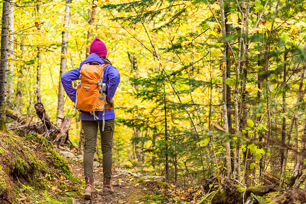 Autumn hike backpacker lifestyle woman walking on trek trail in forest outdoors with yellow leaves foliage. Fall outdoor activity girl with bacpack and cold season gear hiking outside.
