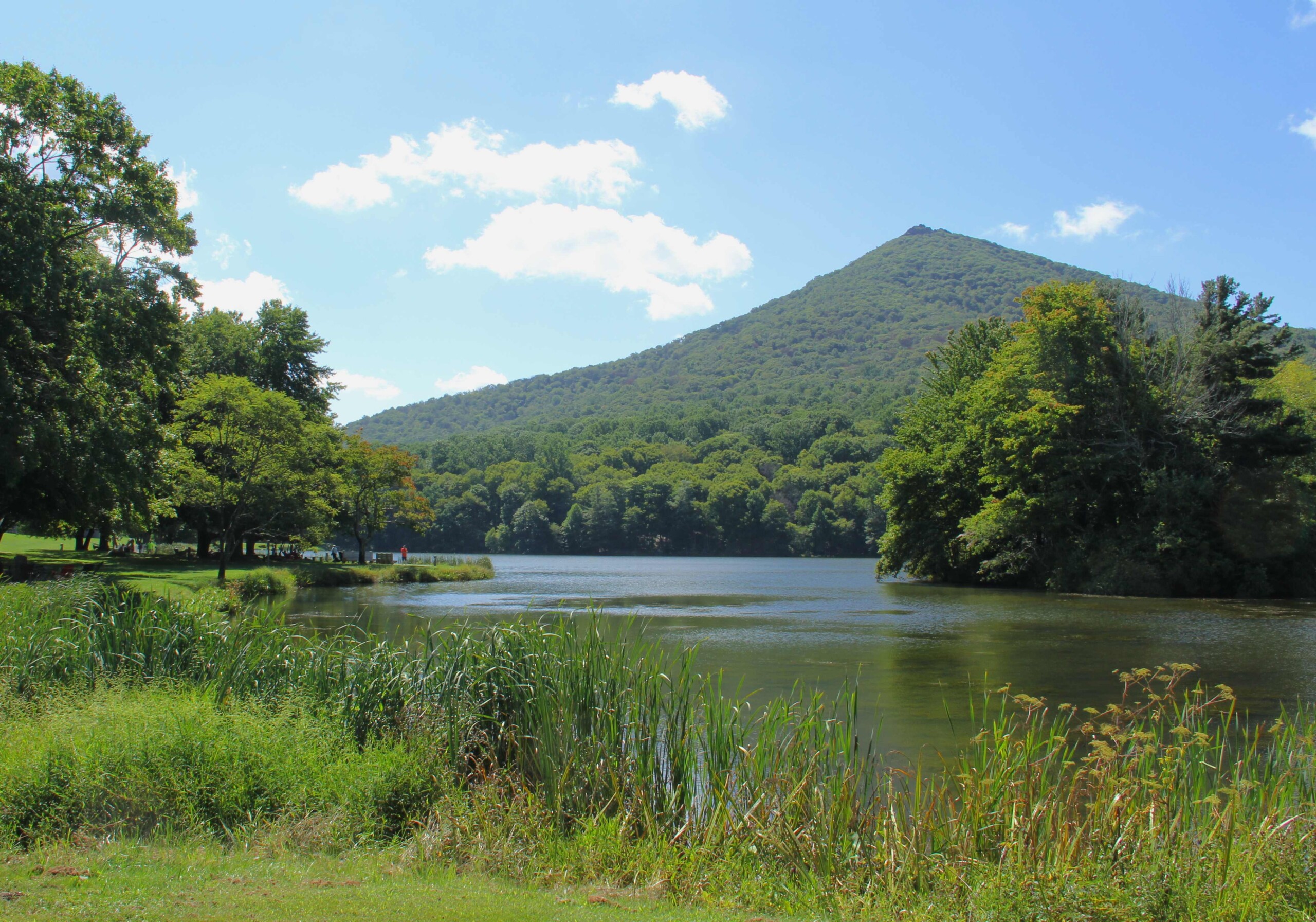 Sharptop image of Peak of Otter